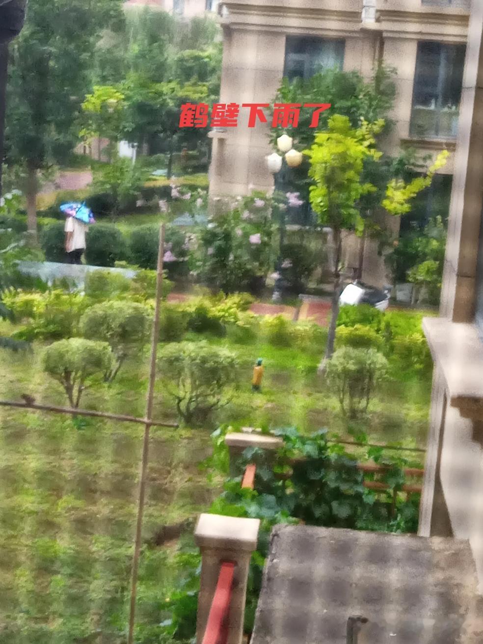 河南鹤壁，傍晚准时迎来温柔小雨🌧️
 
闷热了一整天的小城，终于被一场细雨温柔