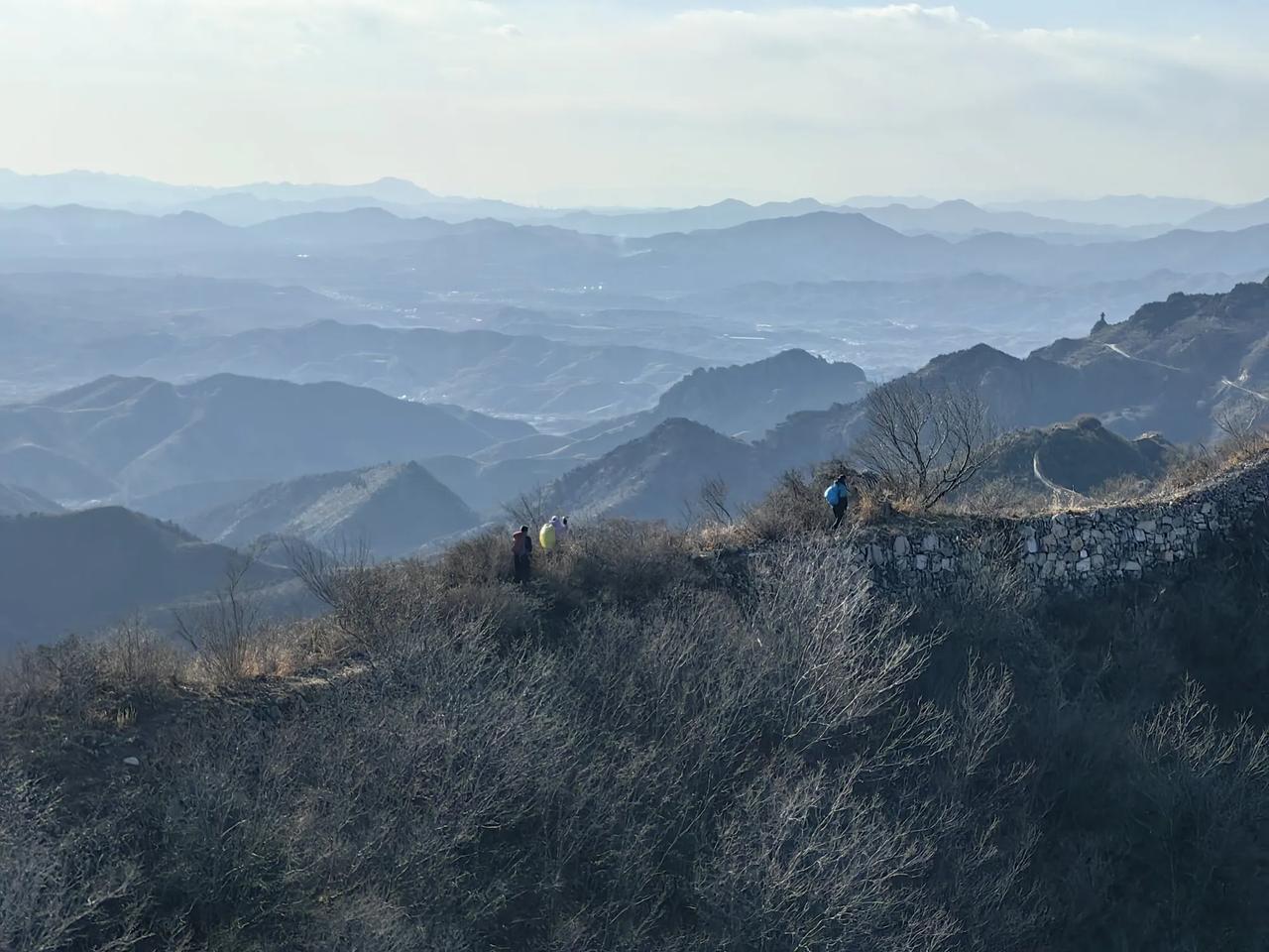 新诗觅知音


愤怒

小麦是愤怒的，比较早愤怒的
所有的农作物都是愤怒的
它们