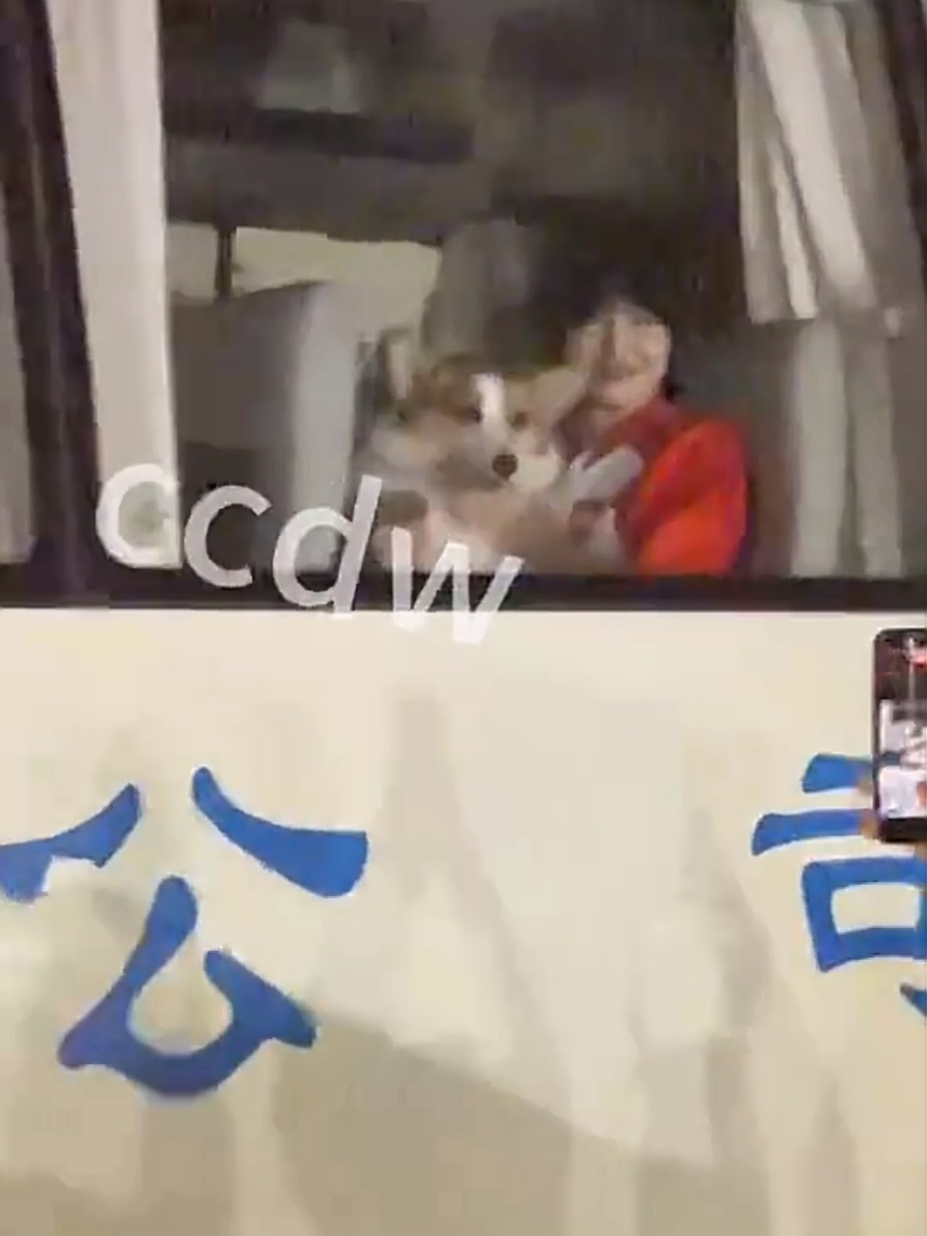 原谅锅盖诺一个晚上。 