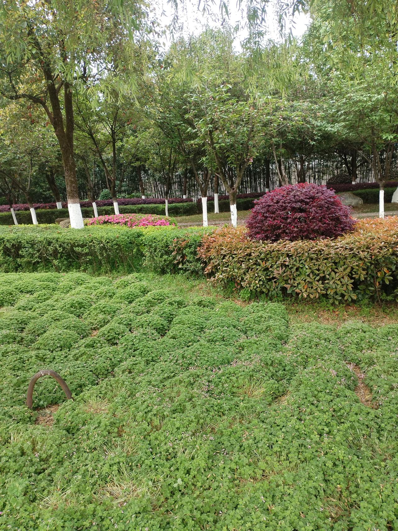 上联：年年顺顺利利

分析：
“年年顺顺利利”这句话中的“年年”表示每年、年复一