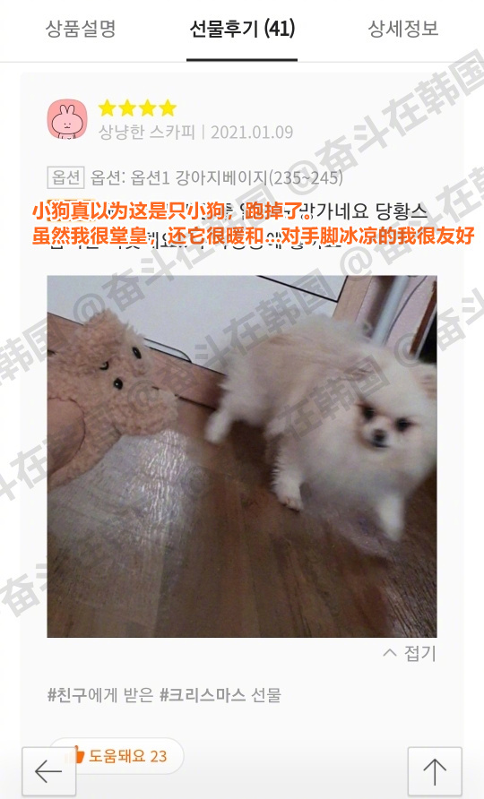 不能买小狗样式拖鞋的原因 海外新鲜事 热点现场