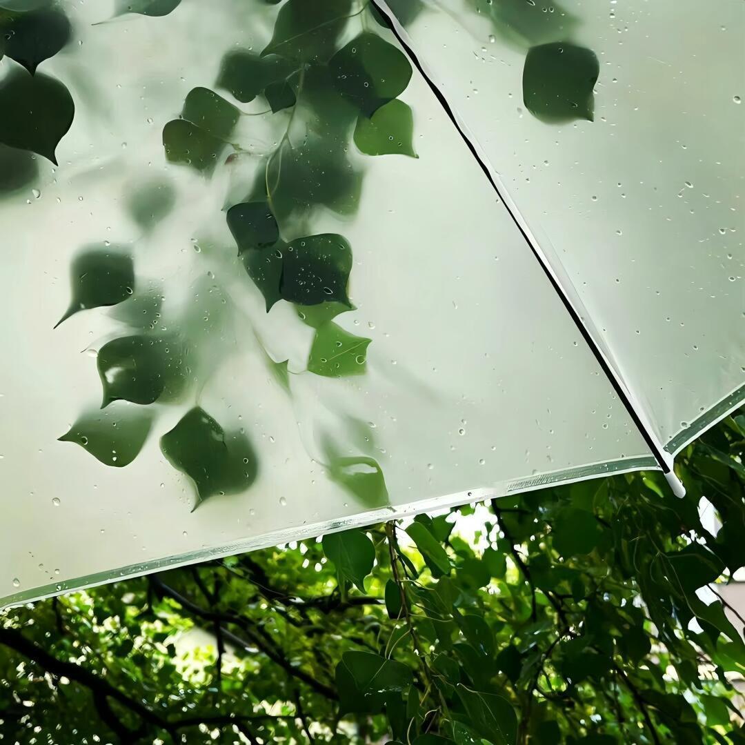 我不称臣我要在我的落拓人生里高歌破破阵 