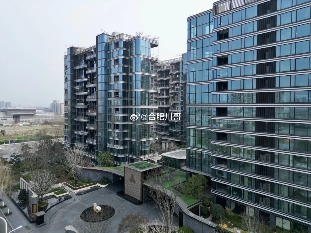 政务东千万豪宅，伟星139最新进展～