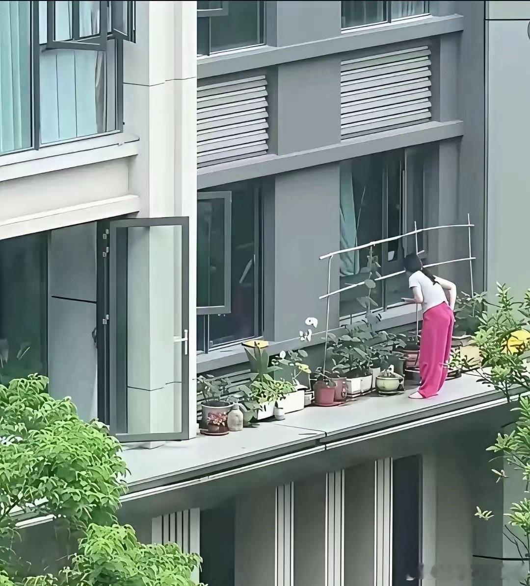 主人家心真大，在阳台上养花 