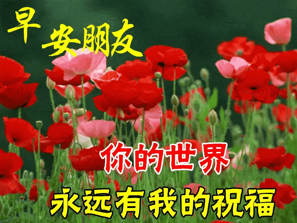 感恩相逢
感恩遇见
感恩生命中的每一天
有你的陪伴
天涯不觉远
我的世界里
只要