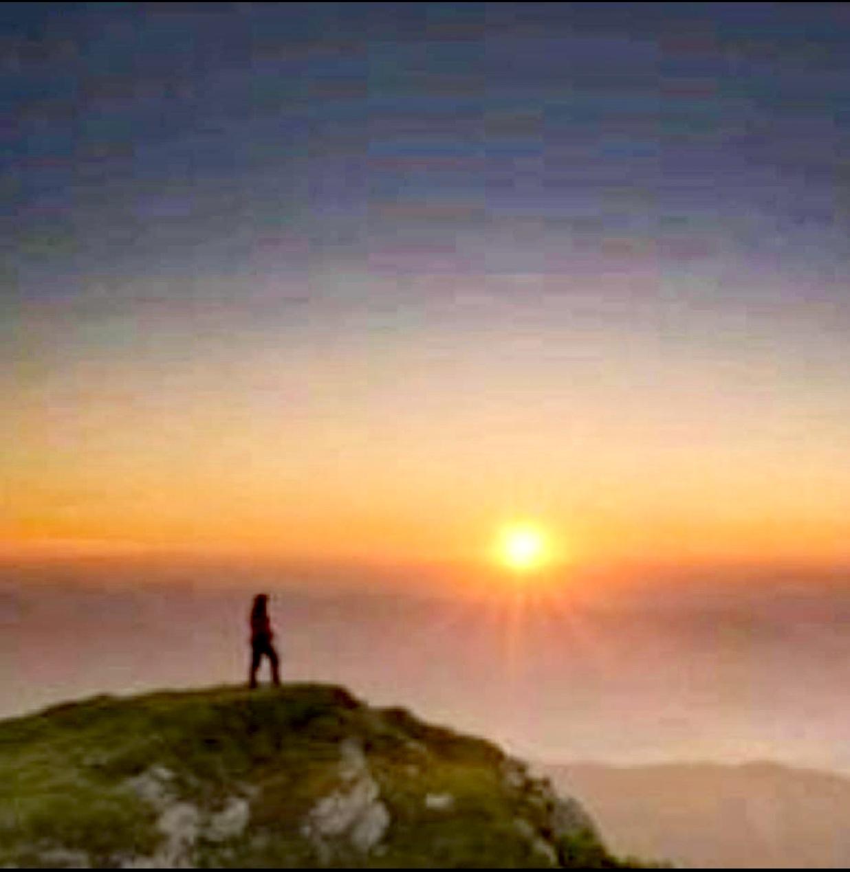 世路如今已惯，此心到处悠然。

                       —