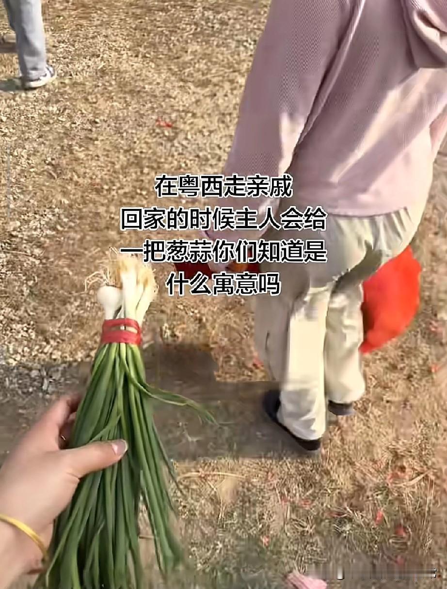 粤西走亲戚，临走塞一把葱蒜
这寓意比红包还暖❤️
 
今天在粤西走亲戚，临走时主