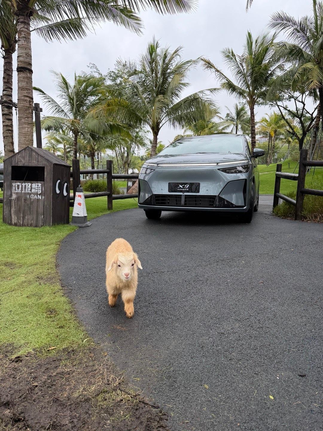 小羊羔给1602公里续航的小鹏x9超级增程来了 开路了～[嘻嘻] ​​​