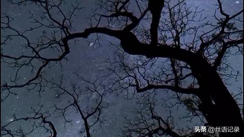 关于“死”
想过许多次
关于“活”
思索无数次
在“死”与“活”
“活”与“死”