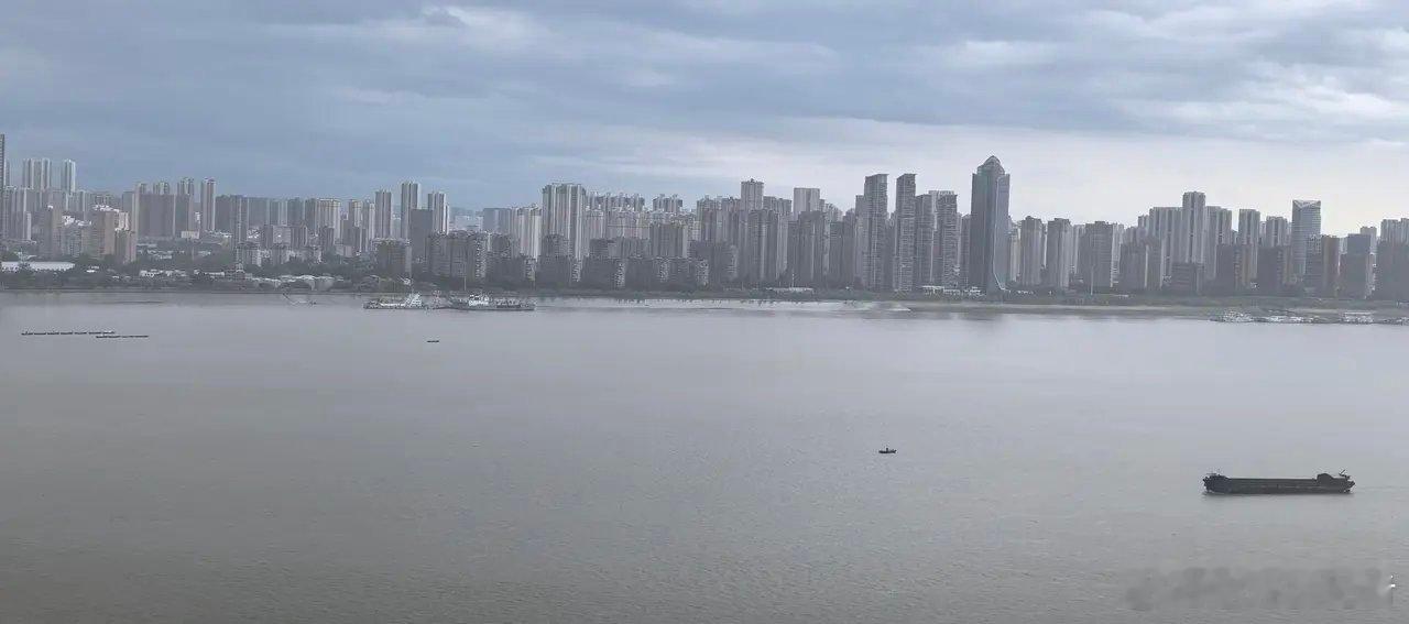 武汉暴雨武汉市发布暴雨红色预警！  昨天晚上睡着了之后，预报的大雨终于来了。凌晨