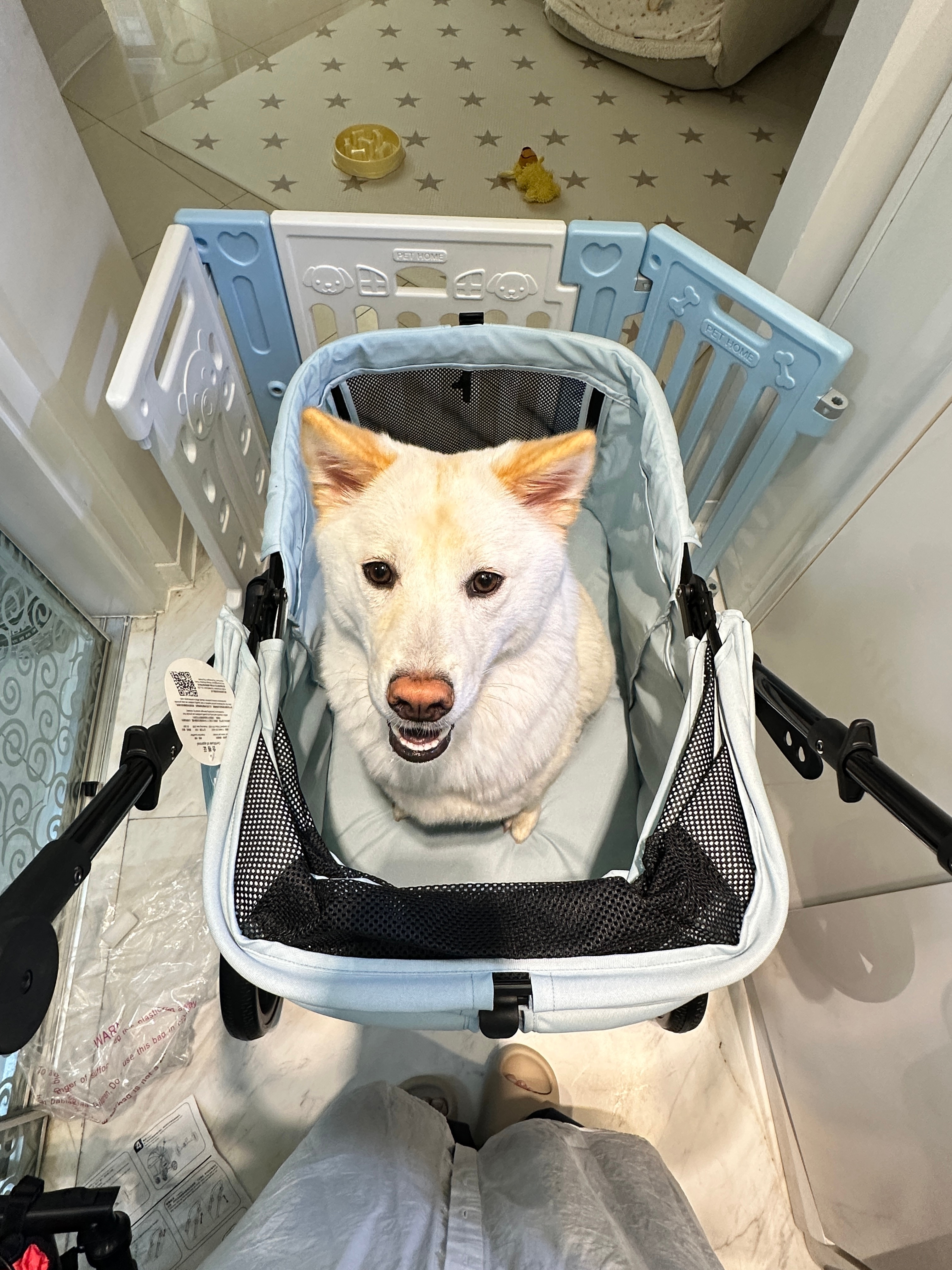 九个半月全款拿下 不靠自己全靠妈妈未来可期 ​​​