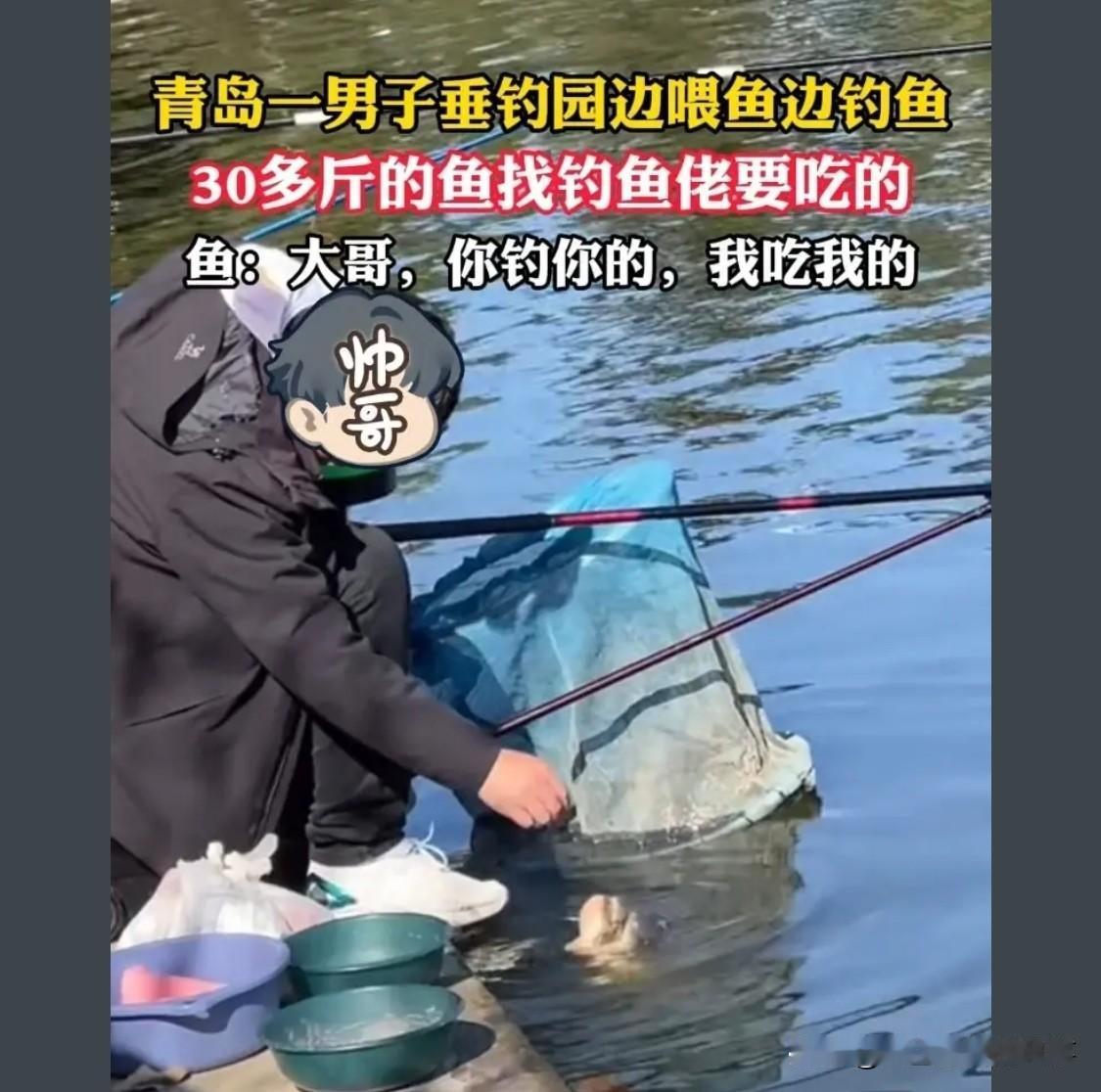 这说明钓鱼的人很善良，钓得的鱼都是狠鱼该被钓的，是应该被清除的。

不晓得大家还