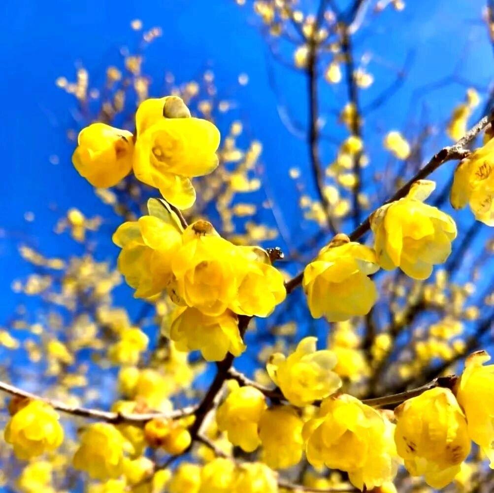 今年冬天的不同今天的孩子代表了今年的冬天没有什么不同，不同的地方是漯河已经开始停