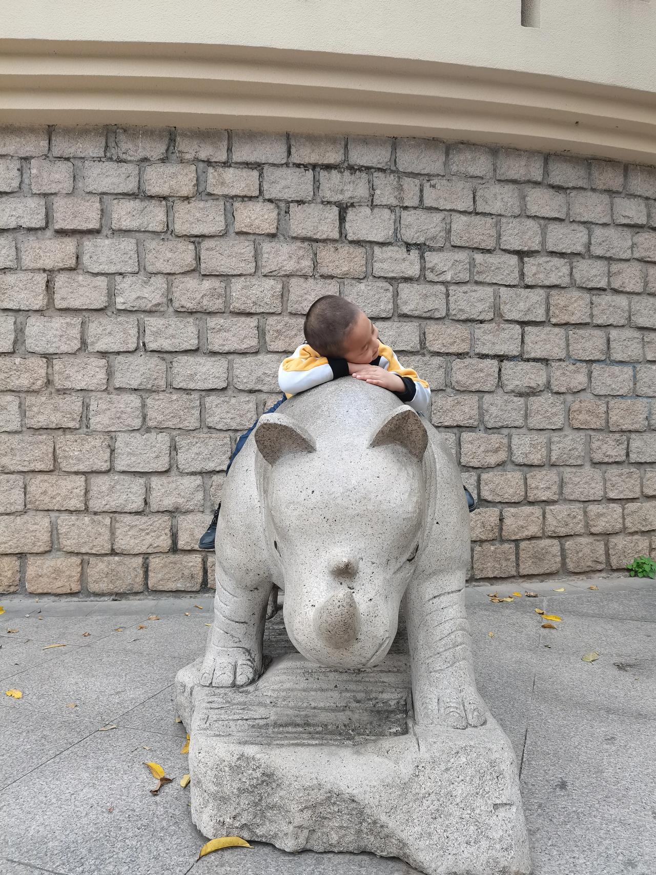 今天带小孩去了广州动物园，那里面的动物都太瘦了，老虎那么小一只，怎么看得出来它是