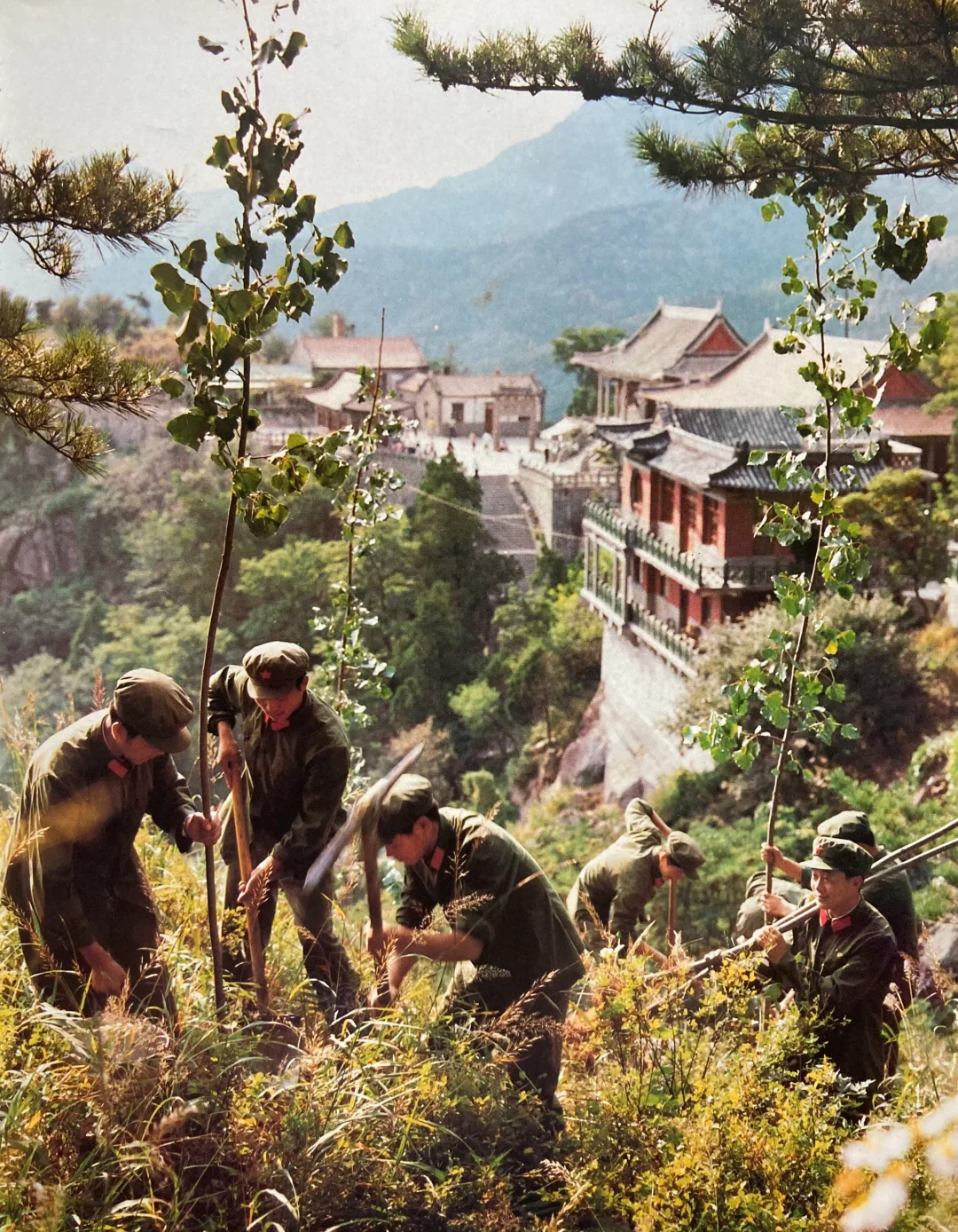 驻泰山部队在玉皇顶上植树