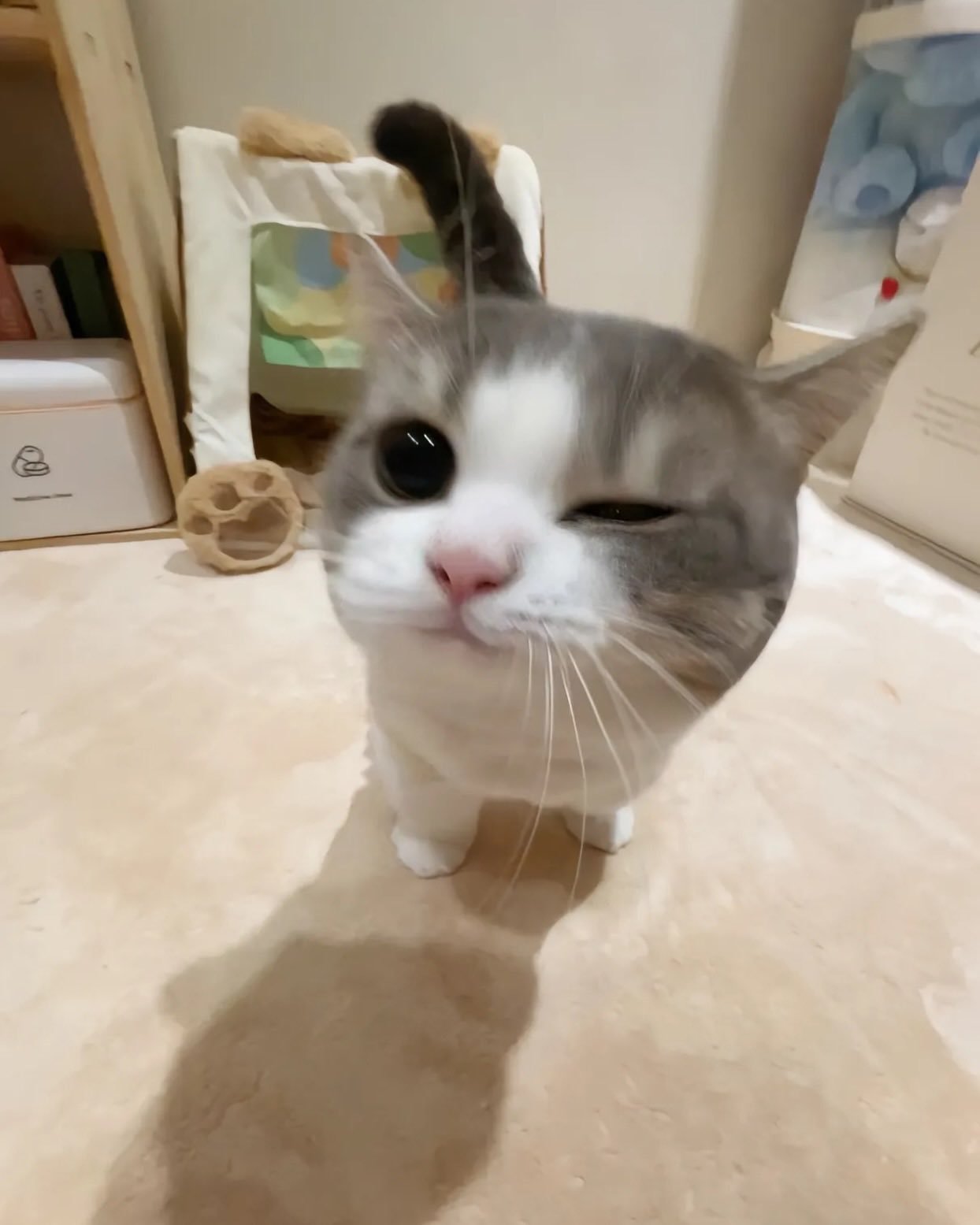 御影玲王  Wink✨ 