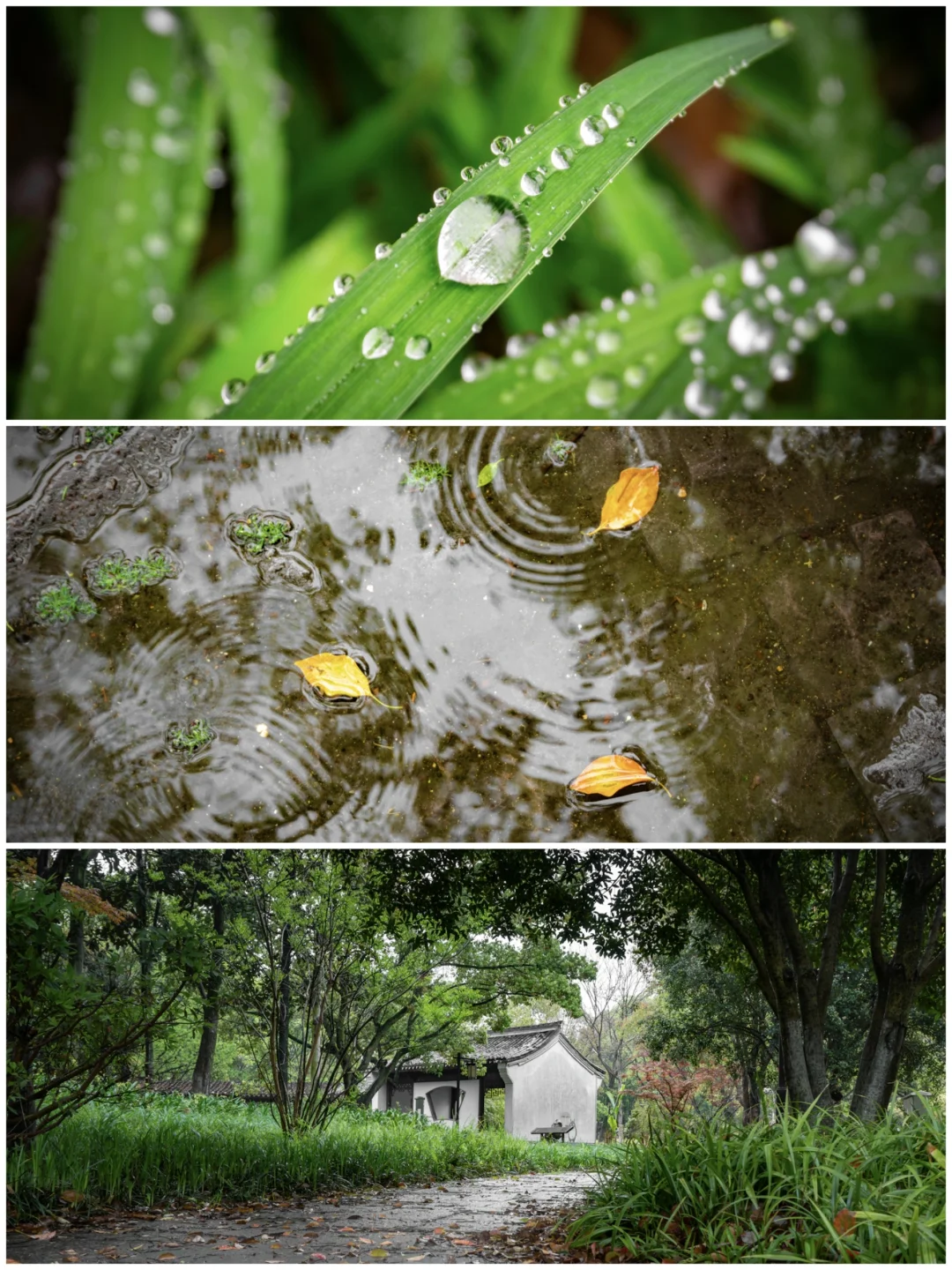 这样使用❗️让你的索尼16-50镜头重获新生