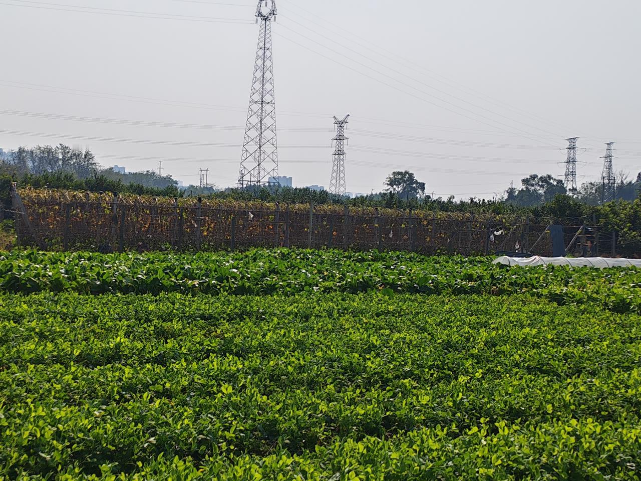 农村发展，最缺的从来不是资源
 
农村发展最缺的，从来都不是资源，而是愿意扎根的