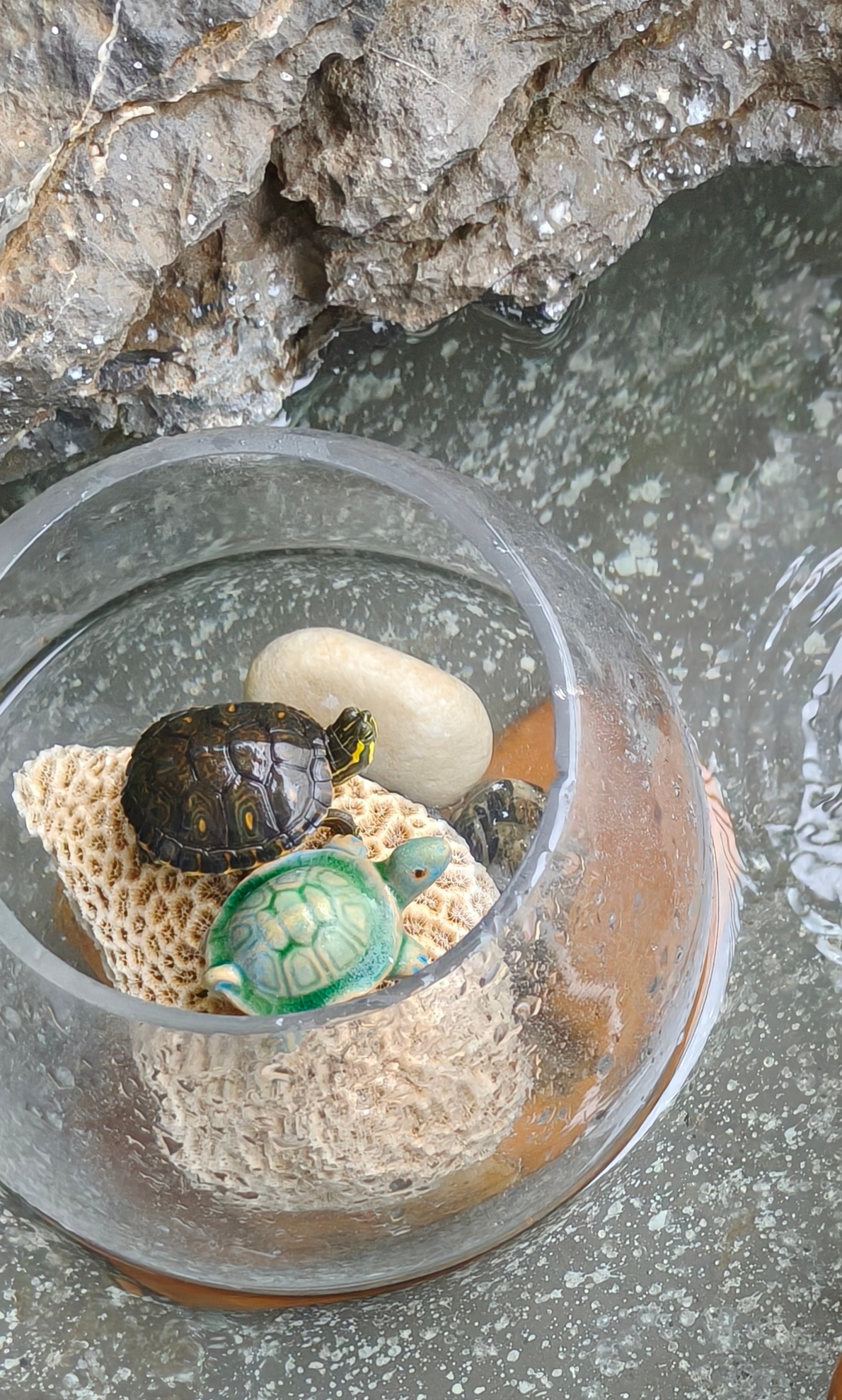 分享新鲜事 