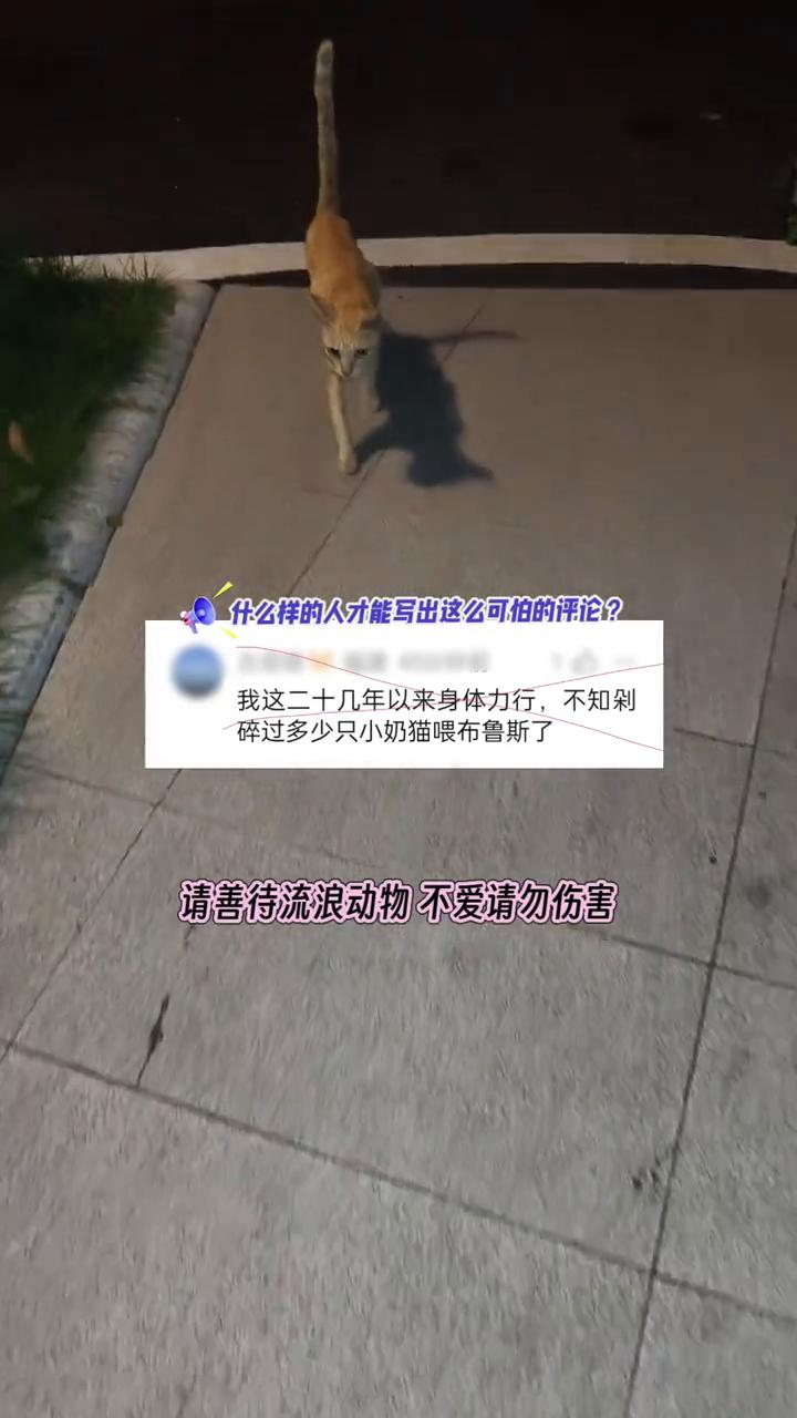 什么样的人才能写出这么可怕的评论？我这二十几年以来身体力行，不知剁碎过多少只小奶