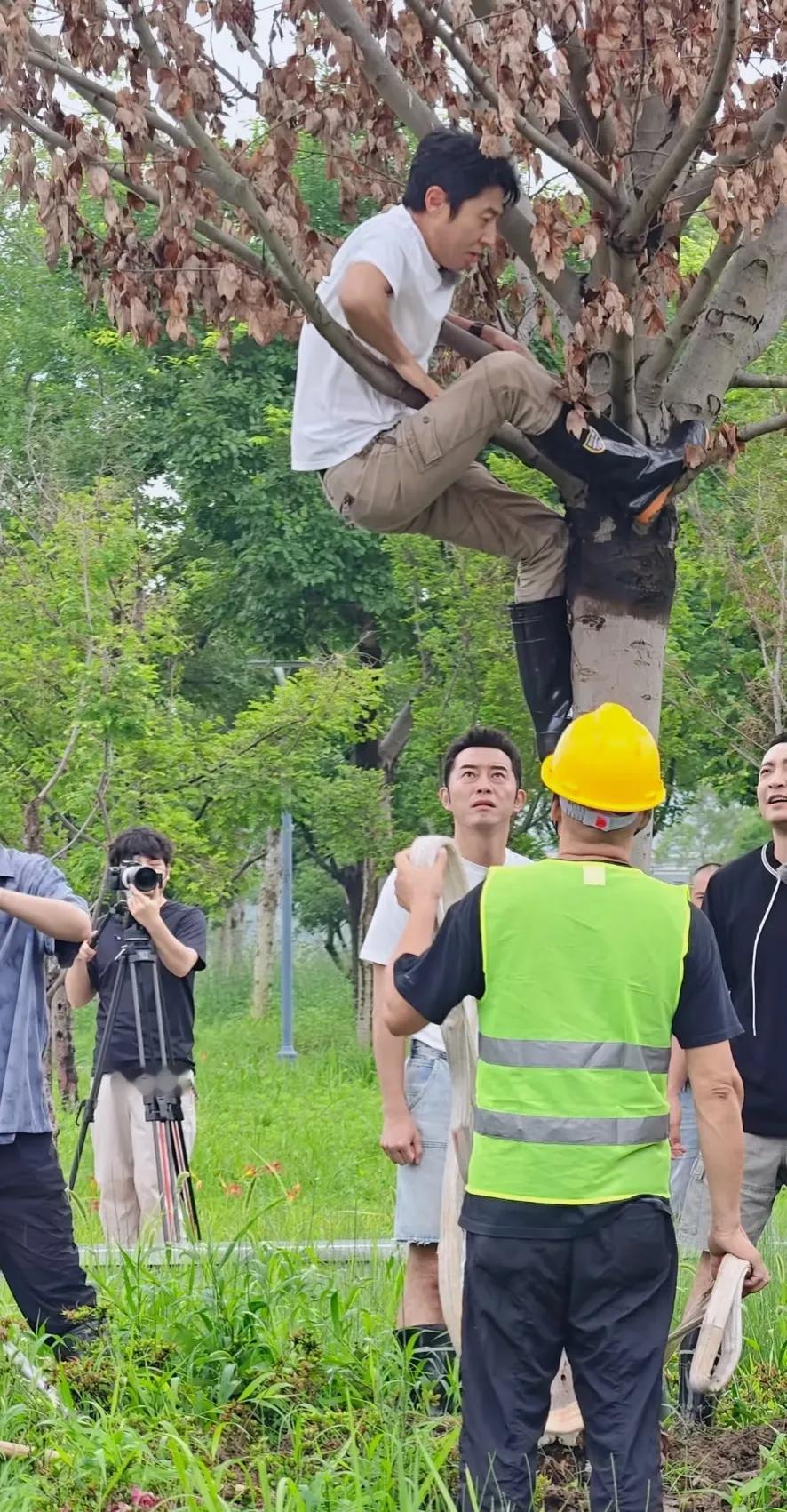 老萨爬树，
沙溢楞出了表情包！
不理解，但尊重[泪奔]
[我想静静][我想静静]