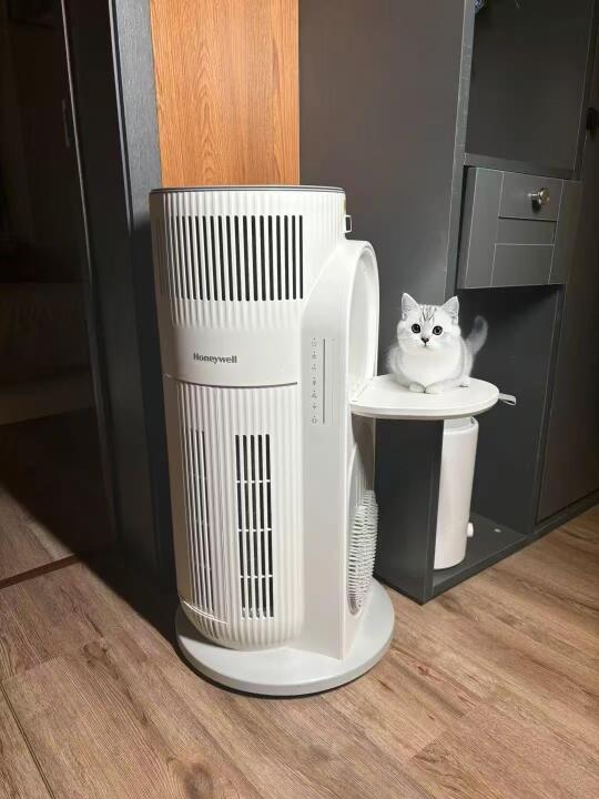 用上霍尼韦尔新品猫用空净👉🏻霍哈宝❗