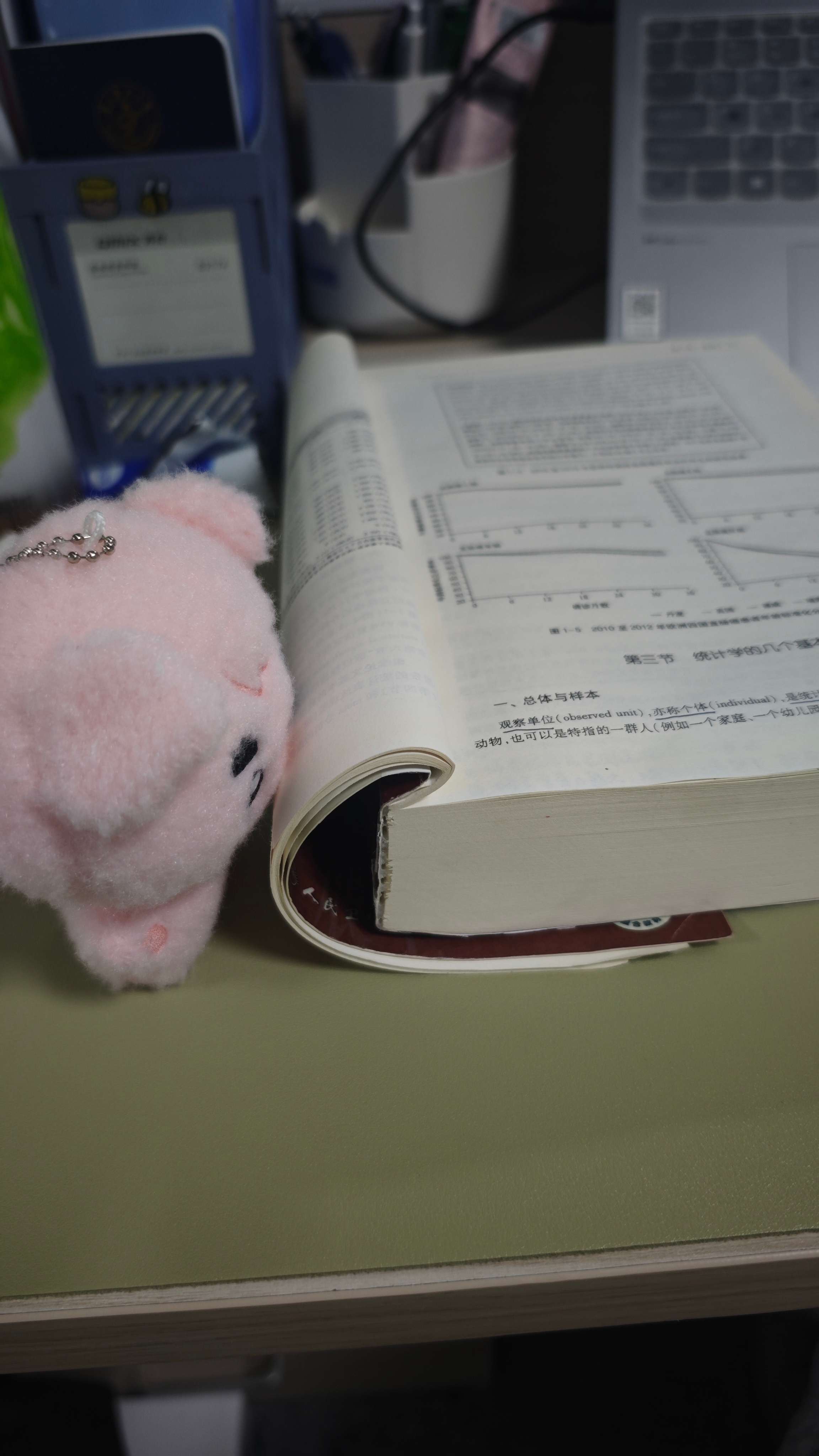 猪帮我学吧，真不知道这玩意儿怎么学啊