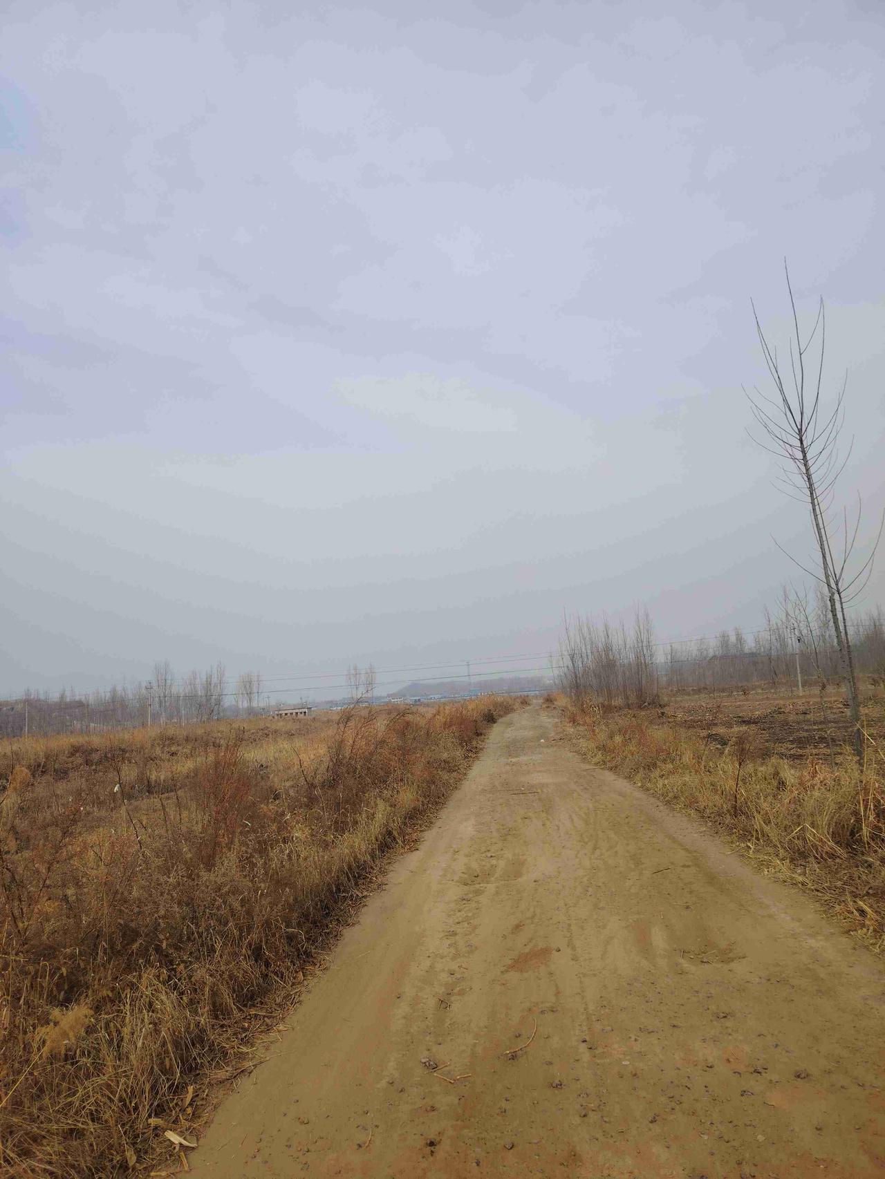 带定位晒今日生活 今天外面阳光灿烂，一片晴天，可我的状态却只能用“强颜欢笑”来形