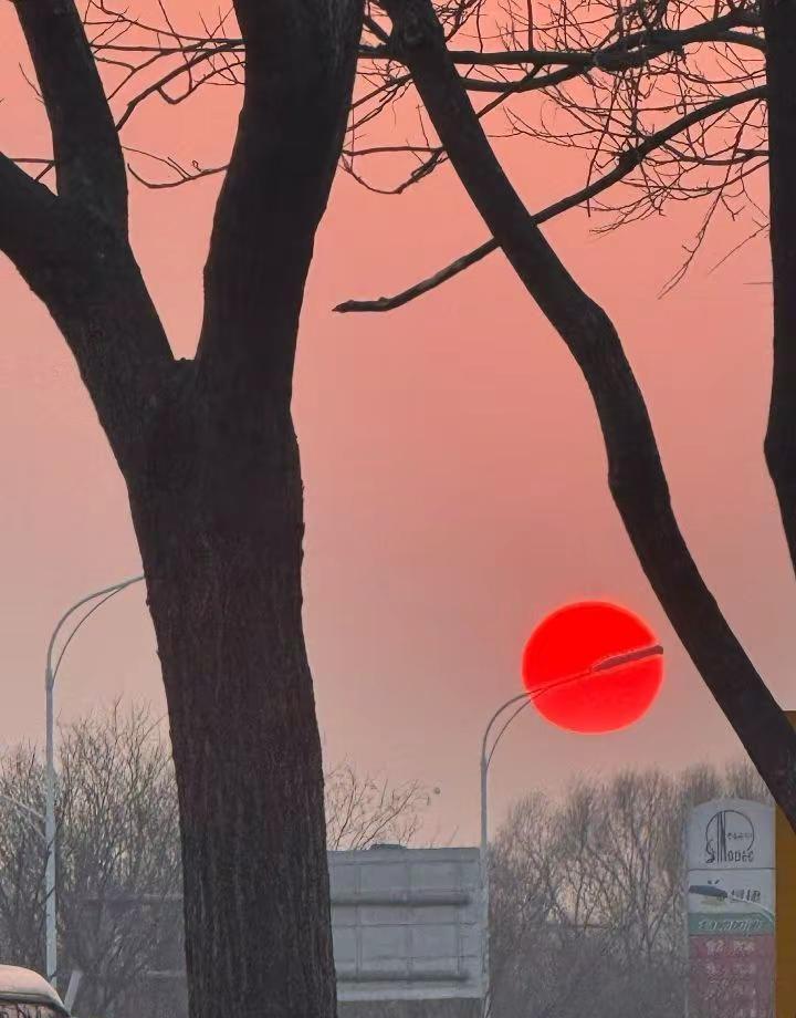  原来，没有情绪的日子，才是最好的日子，才是真正的岁月静好。没情绪不是麻木，是心