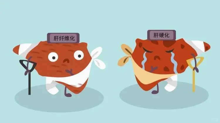 身体有疤痕，整形手术去除，那么肝脏上的疤痕，该如何去除呢？ 肝脏受到损...