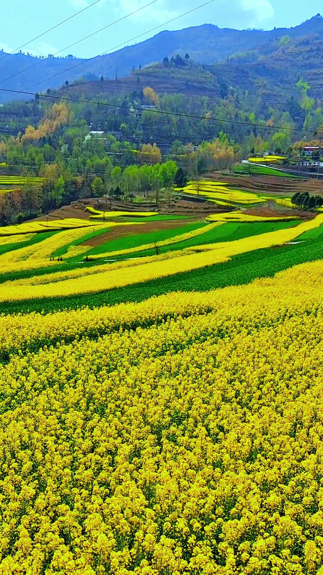 在头条写东西，有个坑千万别踩，那就是别把身边那点事儿往外抖搂。真的，谁抖谁尴尬，