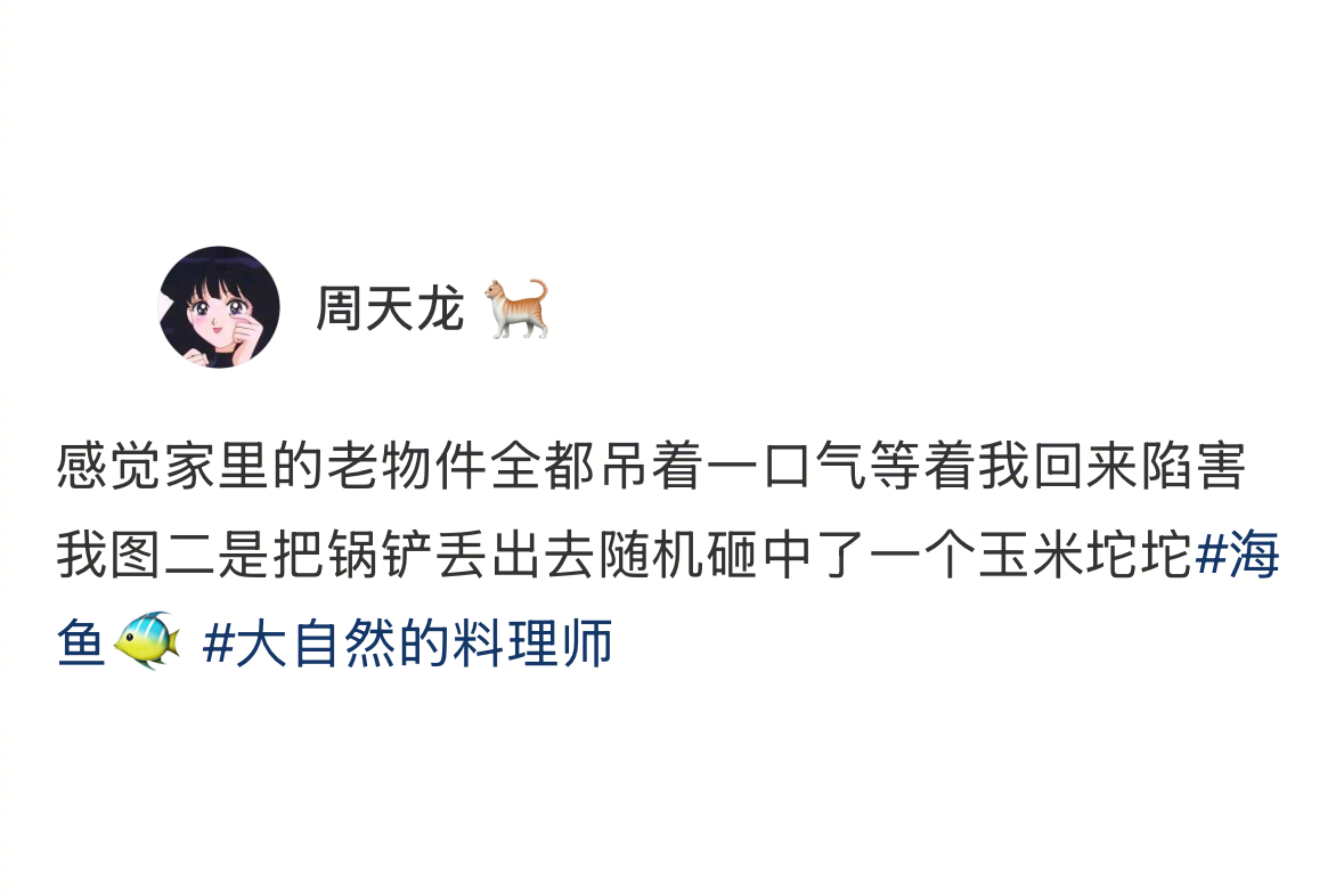 家里的东西都等着我回来坏 