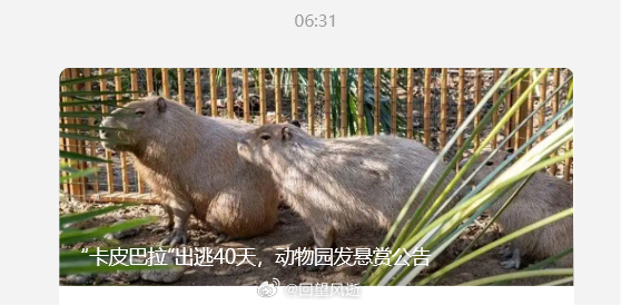 刚想笑，点进去一看发现是我家隔壁的动物园[淡淡的] ​​​