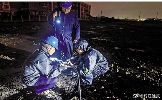 #台风过境不是没影响是有人扛走狼藉#【“巴威”过后，为啥杭州路上干干净净？不是台