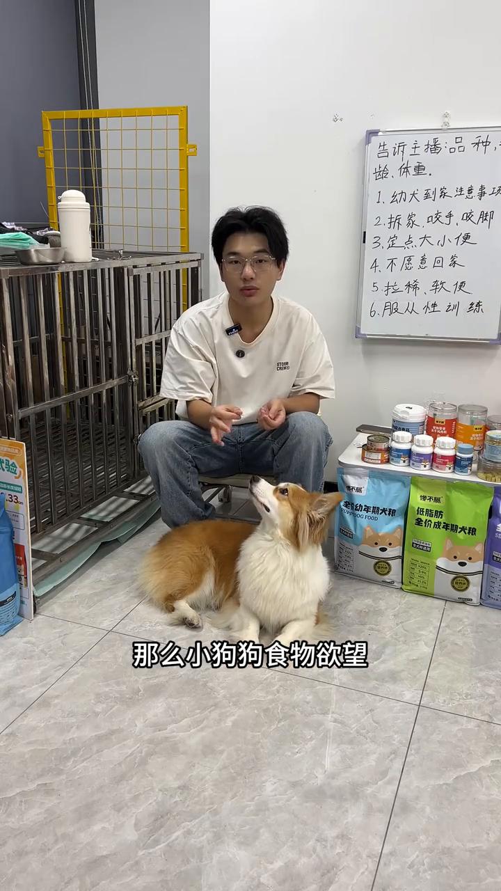教一下怎么去转圈。转圈的时候一般都不需要牵引绳，因为这个动作非常简单。
·手上准