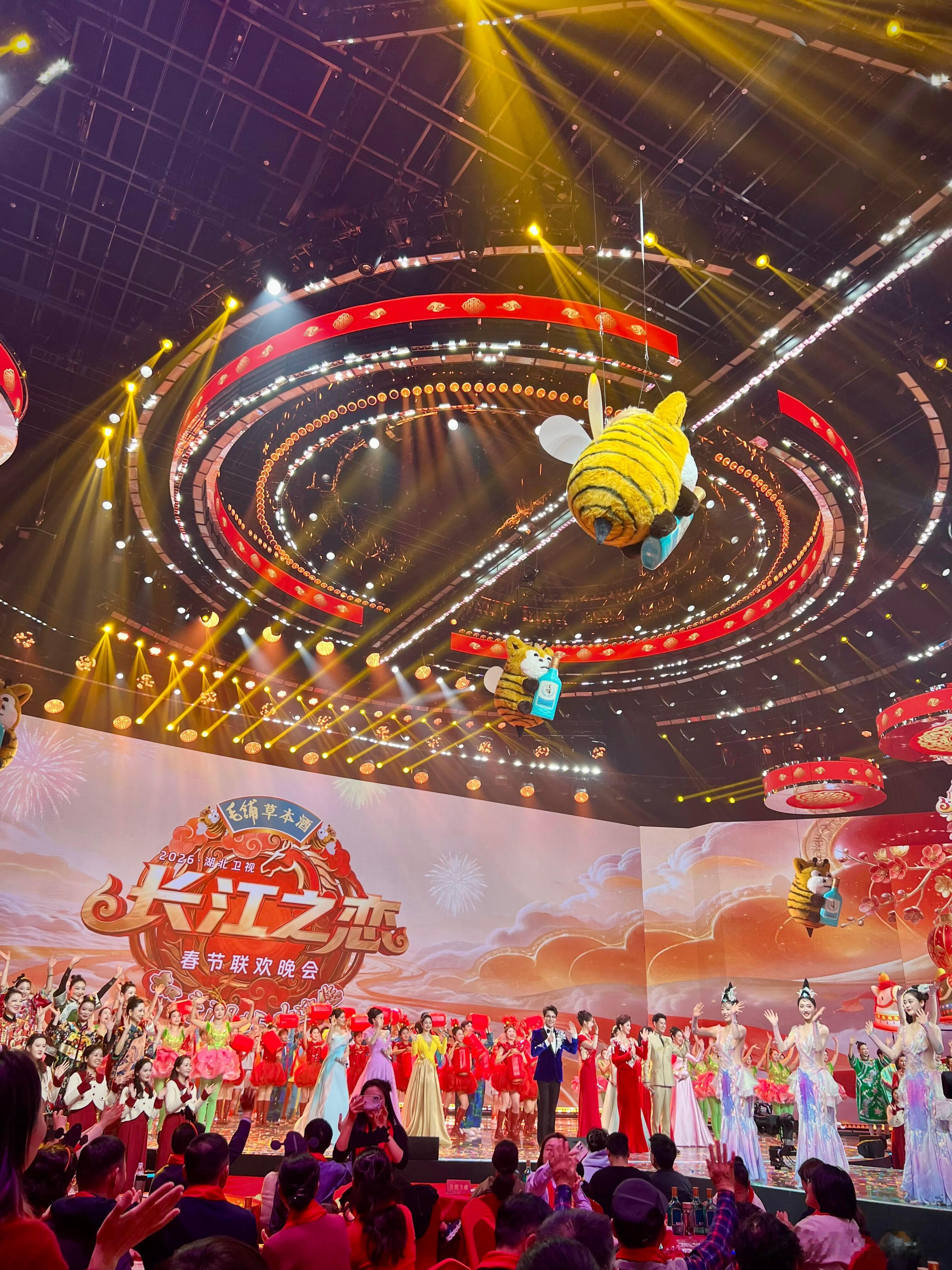 谁能告诉我春晚后台视角长啥样 一些春晚的台前幕后，感觉跟现场还是蛮有趣的，希望有