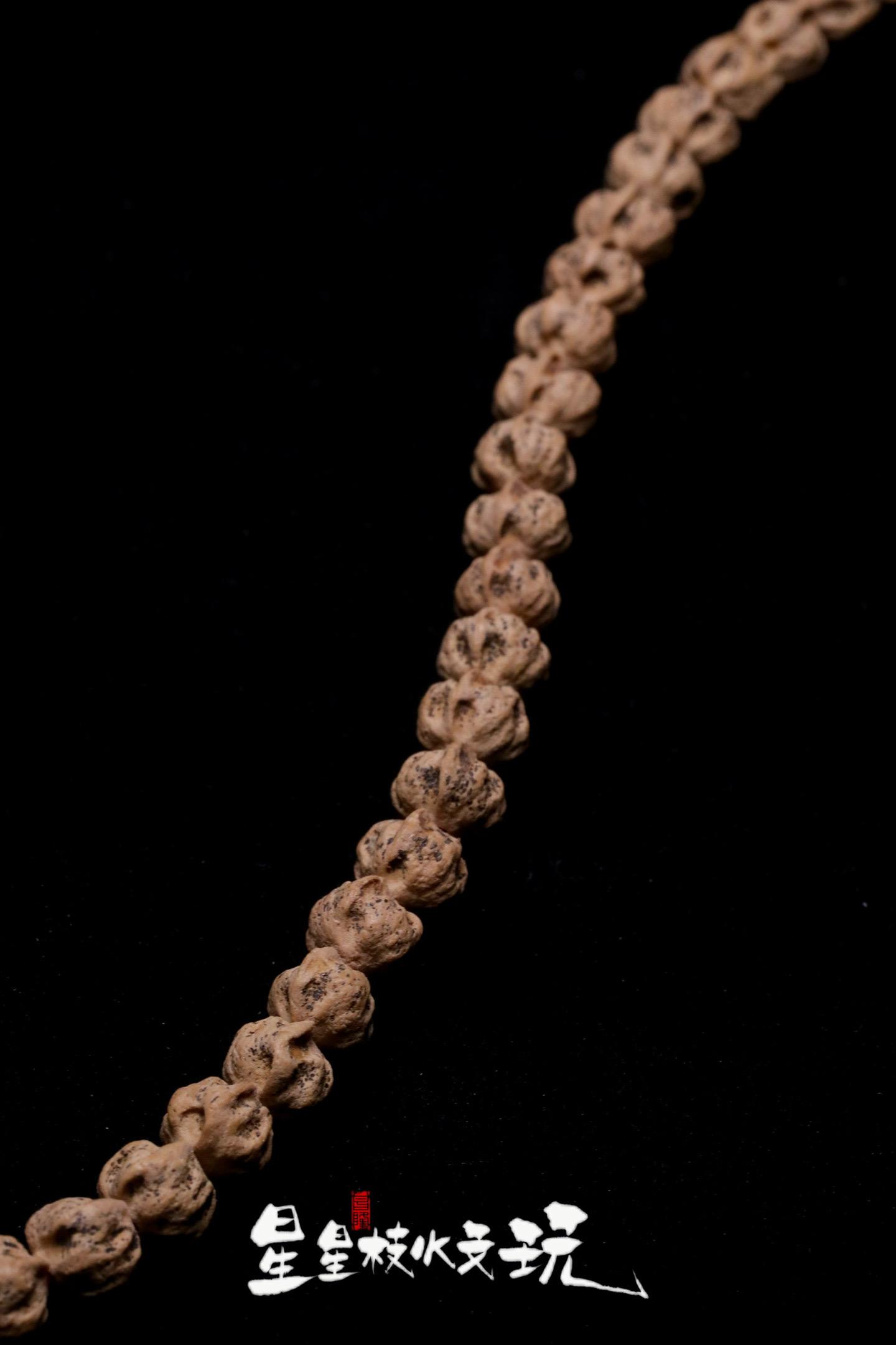 星座款•【天龙座】最新款榫卯，矮桩里纹路皮质的天花板