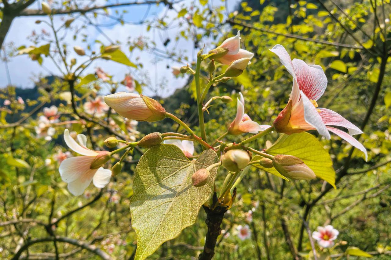 读《近思录》之3.61.3

《春秋》大义数十，其义虽大，炳如日星，乃易见也。惟