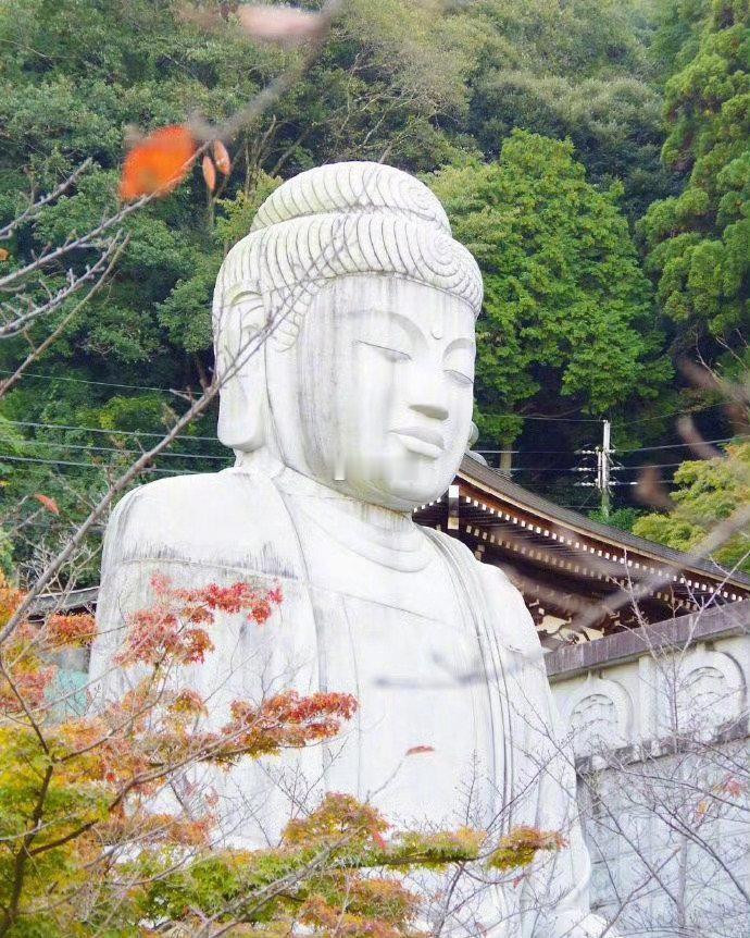 遇佛转发  七天内好事发生🙏 