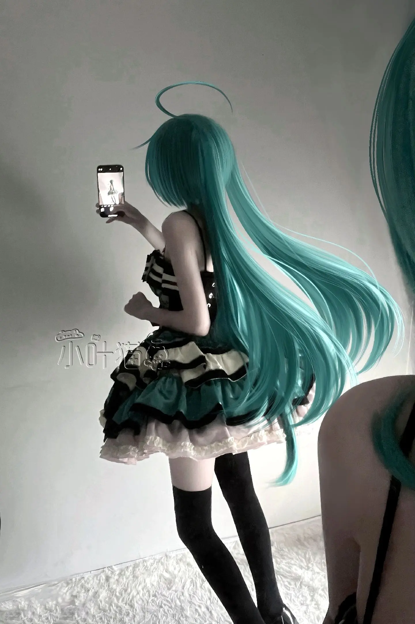 世界第一公主殿下