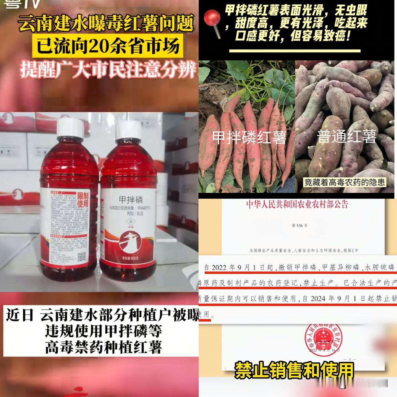 云南建水的红薯
扒开了人性的皮。
​最让人脊背发凉的，根本不是农残超标，而是那两