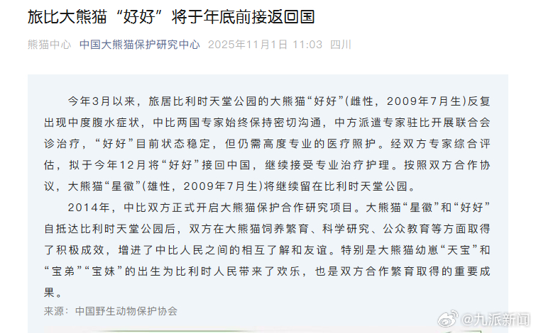 #旅比大熊猫好好年底前将回国#【#旅比大熊猫好好将回国接受治疗#】今年3月以来，