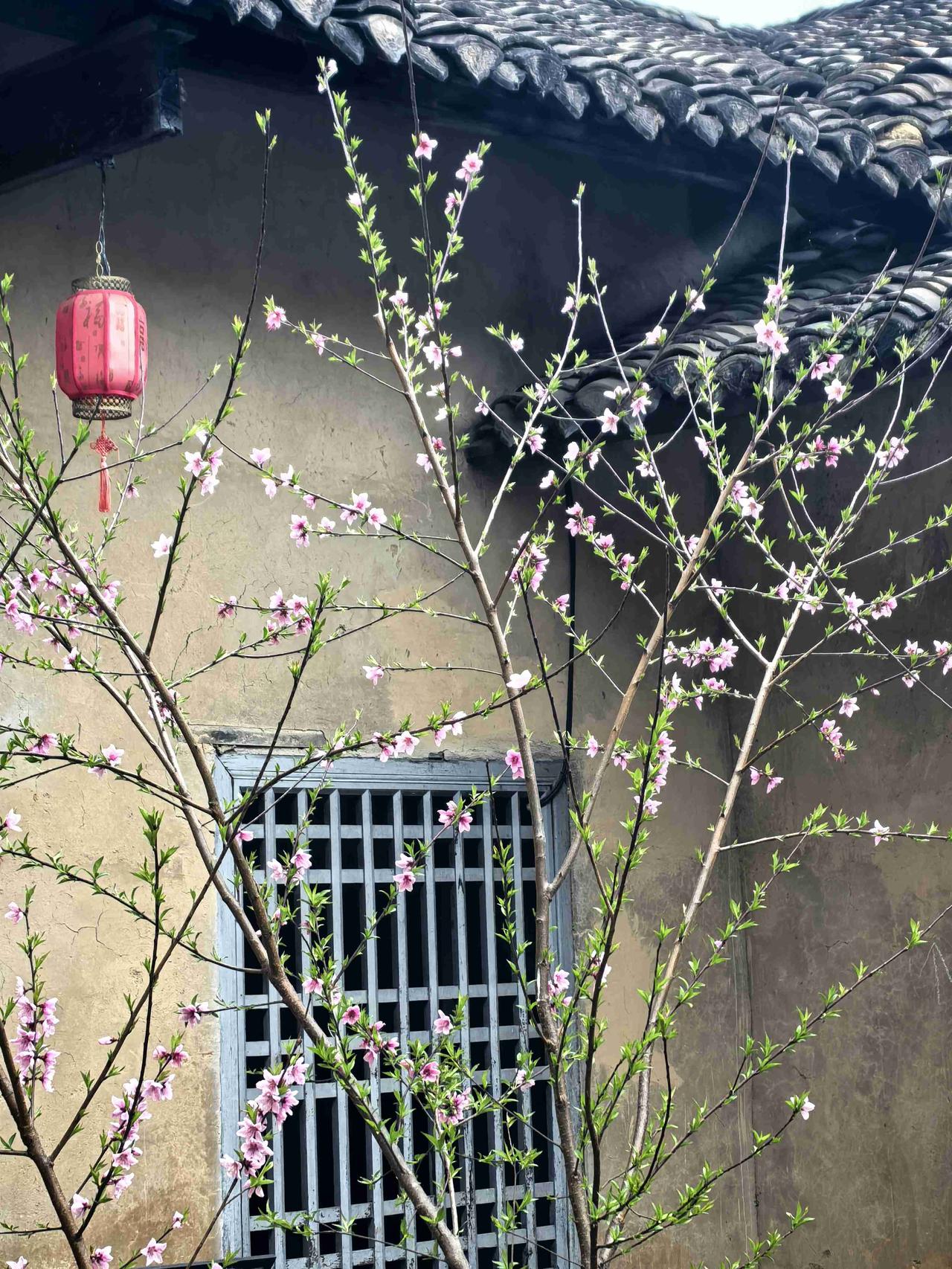 我的今日状态：😁轻松愉快
我这里的天气：☀️晴天