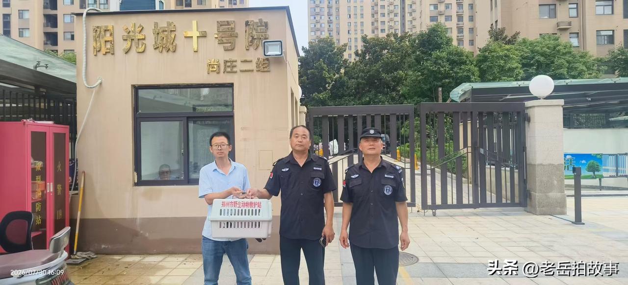 2026年7月30日，郑州市野生动物救护站工作人员，应热心市民庞先生要求，前往郑
