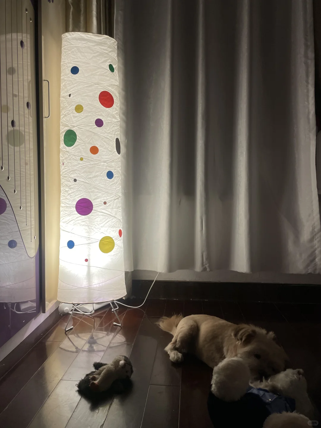 晚安😴