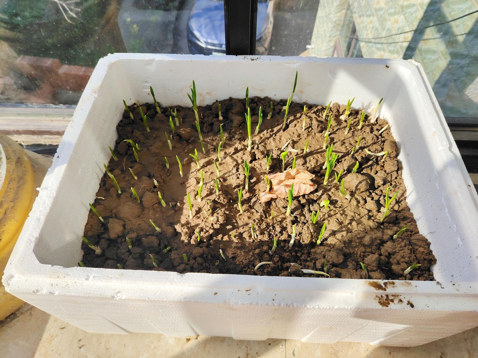 风年年吹，日子慢慢走，看似无事的每天，其实藏着做不完的小事，忙碌里带着...