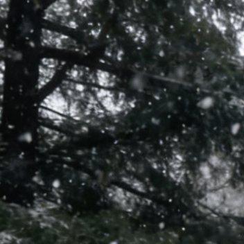 北京下雪、山东下雪、新疆下雪、内蒙下雪、东北也下雪了，一起下楼玩儿雪吧，云堆雪人