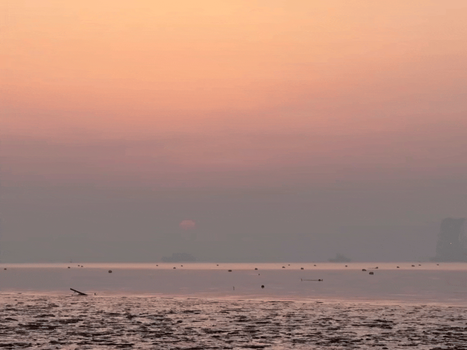 小乐乐🫘更新：海边落日和海盐潮音阁潘展乐