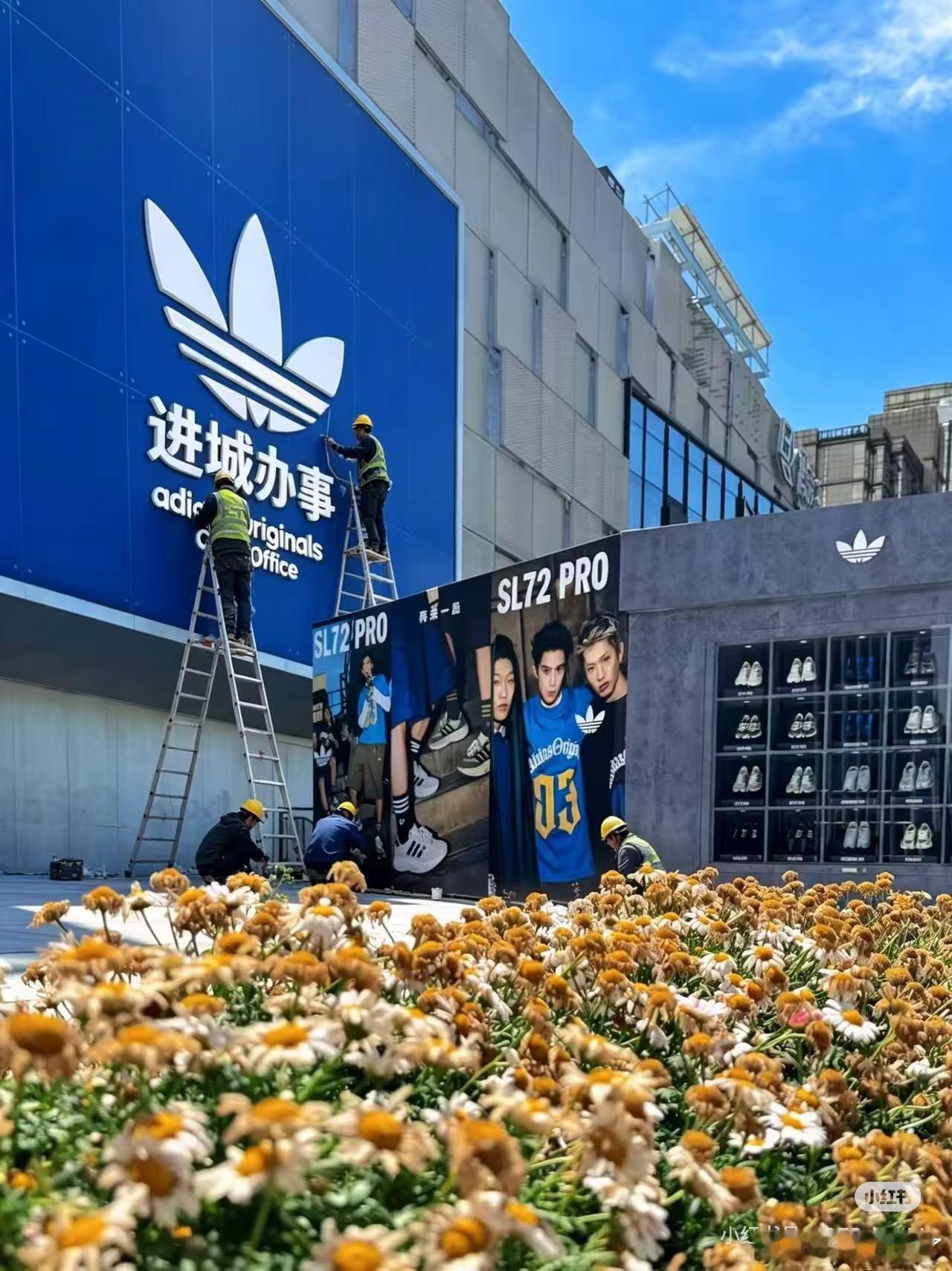 王鹤棣  进城办事顺便看看进城办事 