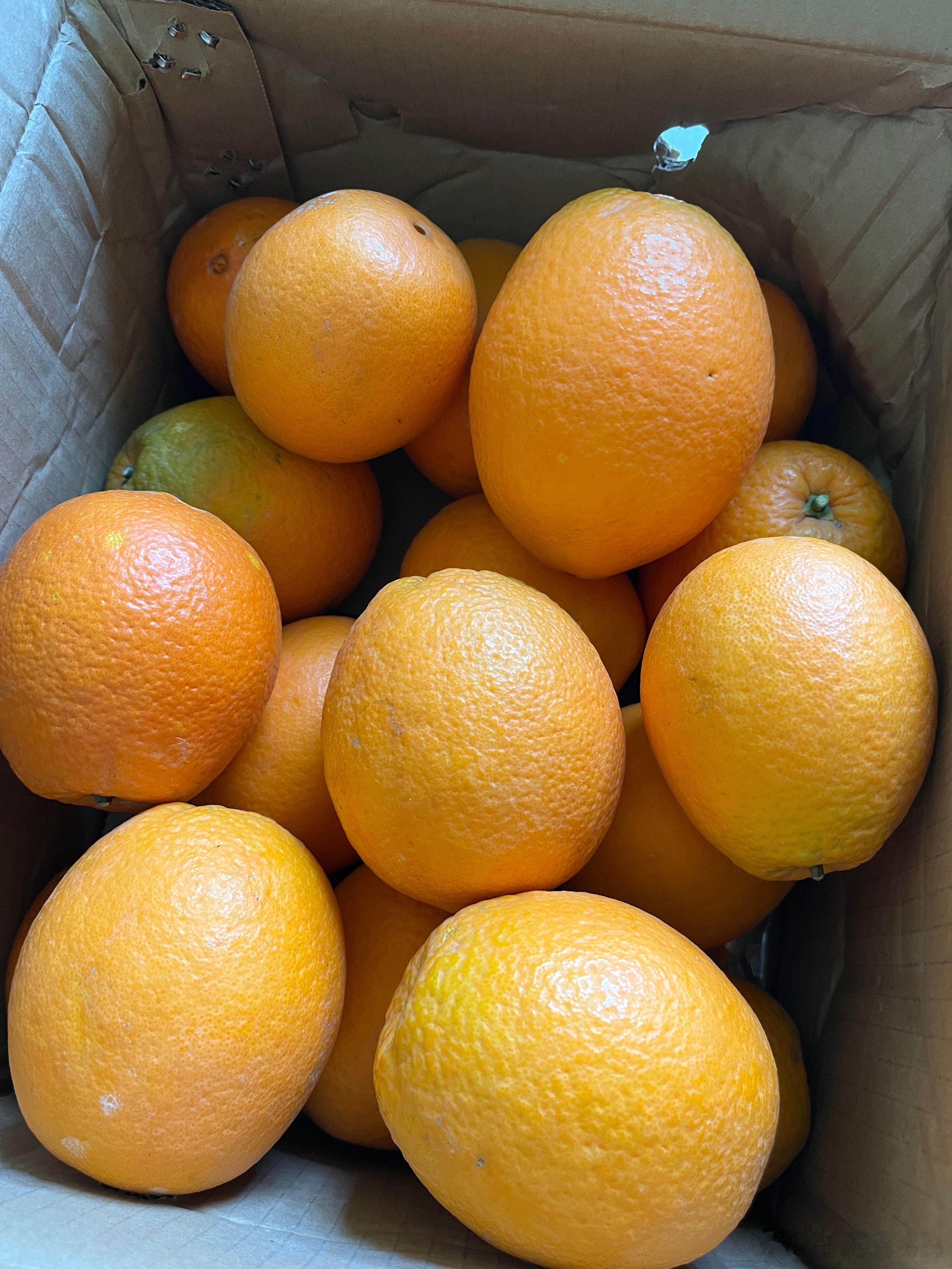 熊姐的橙子收到了，本来要由女儿来开箱的，她忘记了，那就由我来吧！看得出来是没打蜡